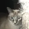 bondchase506 - @chasebond14 - TikTok