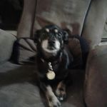 chase bond - @rexbond1960 - Instagram