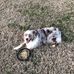 Chase Bond - Facebook