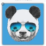 Chase Bowman - @cool_panda990 - Instagram