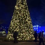 Chase Bowman - @chase.bowman.3538 - Instagram