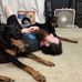 Chase Browning - Facebook