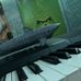 Chase Campbell - Facebook