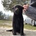 Chase Cannon - Facebook