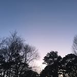 Chase Cantrell - @chase_dk - Instagram