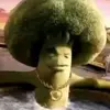 Chase Cantrell - @cheeseman401 - TikTok