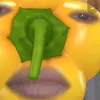 chase - @chaseappley - TikTok