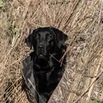 Chase Capper - Facebook