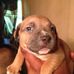 Chase Carney - Facebook