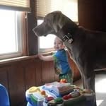 Chase Carney - @carney.chase - Instagram