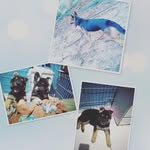 @chas.ecarvalho - Instagram