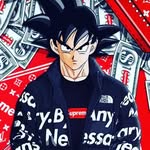 Chase Casanova - @expertzebra9457 - Instagram