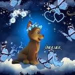 🐾💙 chase 💙🐾 - @_chase.case_ - Instagram