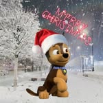 🎄❄️ฅ Chase ฅ❄️🎄 - @_chase_case_ - Instagram
