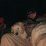 Chase Caselton - @chase.caselton05 - Instagram