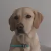 Chase - @chase.is.0n.the.case - TikTok