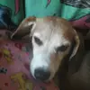 chasecase - @chasecase - TikTok