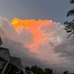 Chase Cason - @chasecason70 - Instagram