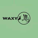 Chase Cason - @waxy_productions - Instagram