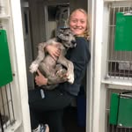 Chase Hornung - @chasecassidy_vettech - Instagram