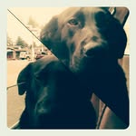 chasecastle - @chasecastle197 - Instagram