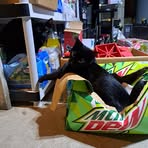 Chase Casto - Facebook