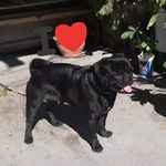 @chase.castro31 - @cha.secastro - Instagram