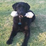 Chase Cates - @chase.the.mailman - Instagram