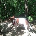 chasecates17 - @chasecates17 - Instagram