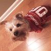 Chase Cavitt - @chase040402 - TikTok