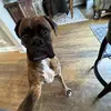 chasedawley - @chasedawley - TikTok