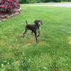 “Chase” - @chasececil82 - TikTok