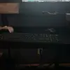 ? - @chasechambers66 - TikTok