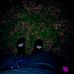Chase Chaney - Facebook