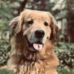 Chase Chaney - @chase_chaney_official - Instagram