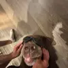 Chase_Chapman - @chase_chapman - TikTok