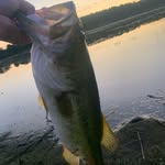 Chase Chapman - @cchap3434 - Instagram