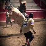 Chase Cheatwood - Facebook