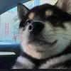 chasechen6 - @chasechen6 - TikTok