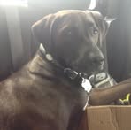 Chase Chenoweth - Facebook