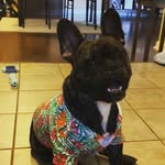 Chase - @chase_cherry_23 - Instagram