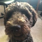 Chase Childress - @chase_childress123 - Instagram