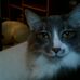 Chase Childs - Facebook