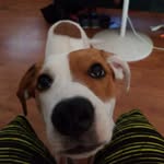 Chase Chitwood - @chitwoodchase - Instagram