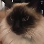 Chase Christensen - @chase_christensen__ - Instagram