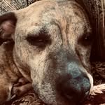 Chase Clemmer - @chase_clemmer - Instagram