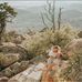Chase Bailie Clinton - Facebook