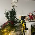Chase Clough - @chaseclough83 - Instagram