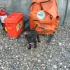 chase cole - @cole.chase1494 - TikTok