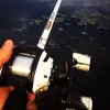 chase cole  - @chase.cole2020 - TikTok